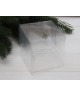 Коробка Блистер, прозора 10 * 10 * 10 см           1 шт