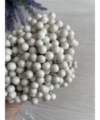 Калина лаковая 