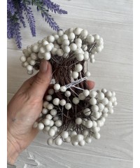 Калина лаковая 