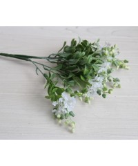 Зелень 