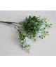 Зелень Зелень