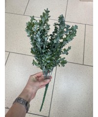 Зелень 