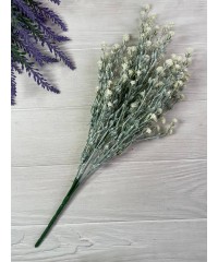 Зелень Зелень
