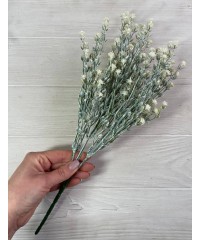 Зелень Зелень