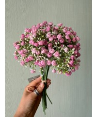 Зелень 
