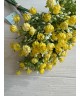 Зелень 