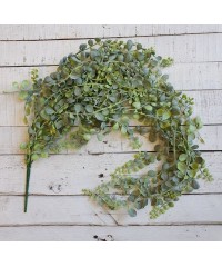 Зелень кучерява 