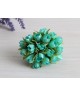 Проліски букет 20 шт,   м'ята  