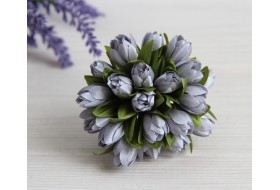 Нове 2,06,2021