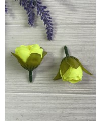 Бутон Півонії  