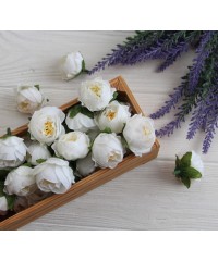 Півонія Кучерява, головка біла   1 шт