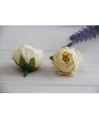 Півонія Кучерява, головка айворі  1 шт