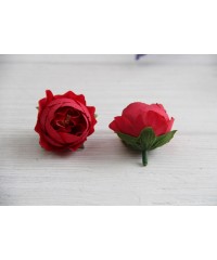 Півонія Кучерява, головка червоний  1 шт