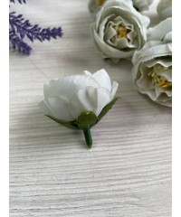 Півонія Кучерява, головка сірий   25  шт  ГУРТ 