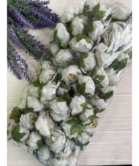 Півонія Кучерява, головка сірий   25  шт  ГУРТ 