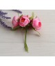 Ранункулюс букет , рожевий      6 шт 