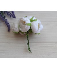 Ранункулюс букет ,  білий     6 шт 