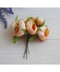 Ранункулюс букет , персиковий    6 шт 