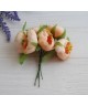 Ранункулюс букет , персиковий    6 шт 