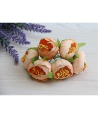 Ранункулюс букет , персиковий    6 шт 