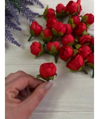 Бутон Півонії  
