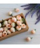Трояндочка  бутон  № 2  , айворі з рожевим      100 шт   ГУРТ 