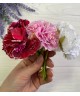 Хризантема Хризантема